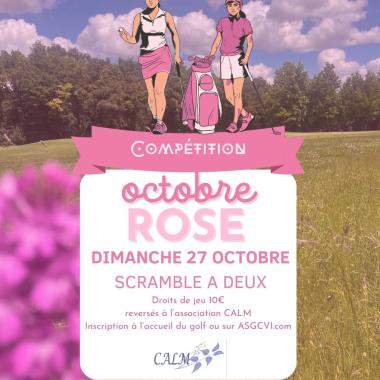 ⛳️🏌‍♀️🏌‍♂️🎀 Compétition Octobre Rose ce dimanche 27 octobre dont tous les droits de jeu (10 euros par joueur) sont entièrement reversés à l'association asso.calm36 Si vous ne souhaitez pas jouer, une urne installée à l'accueil peut recevoir votre don. Toutes les infos sur asgcvi.com #as_golfclubduvaldelindre #asgcvi #villedieusurindre #chateaurouxmetropole #indre